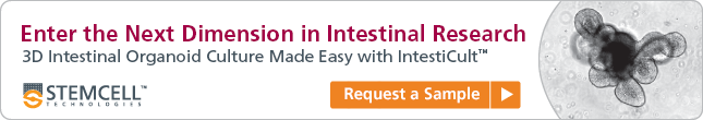 Request a Sample: 3D Intestinal Organoid Culture Made Easy with IntestiCult™